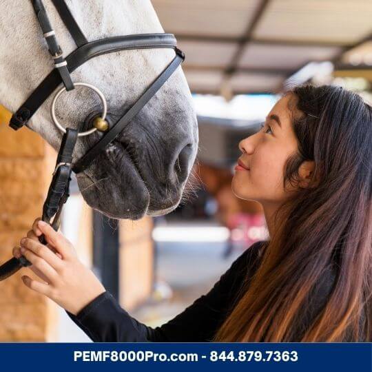equestrians love pemf