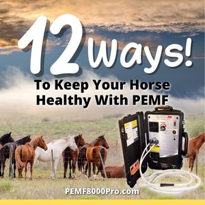 12 Ways PEMF Keeps Horses Healthy