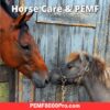 horse care and pemf